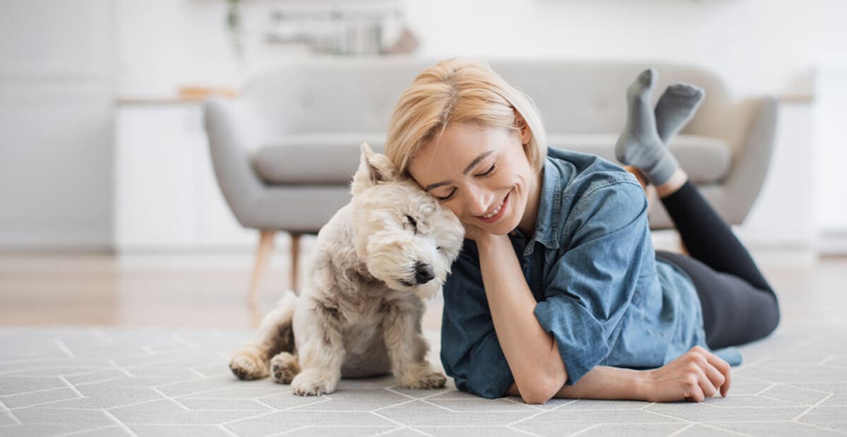 Dog Walker or Dog Daycare: Here’s What LA Dog Owners Should Know