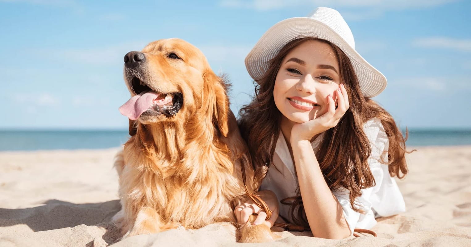 How to Prevent Dog Sunburn in LA This Summer
